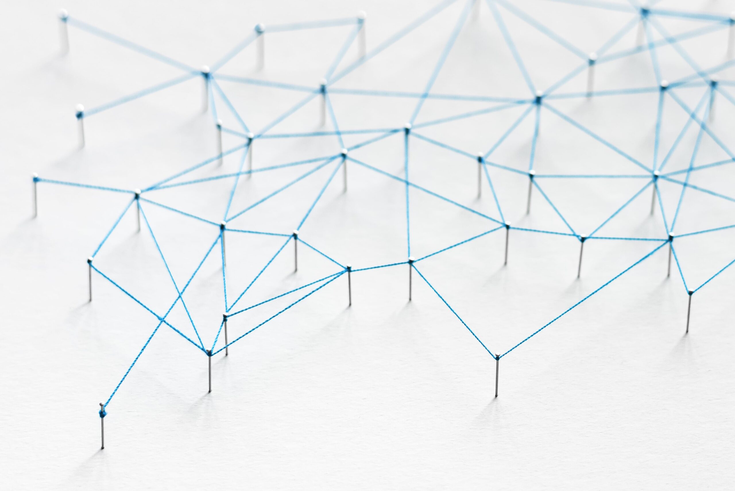Il network dei partner